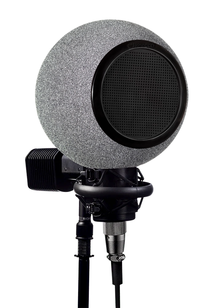800C | Platinum Silver